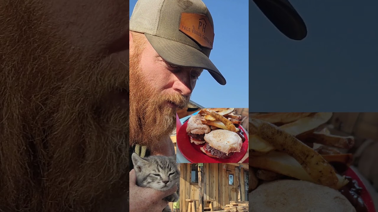 The cost of OFF GRID LIVING 