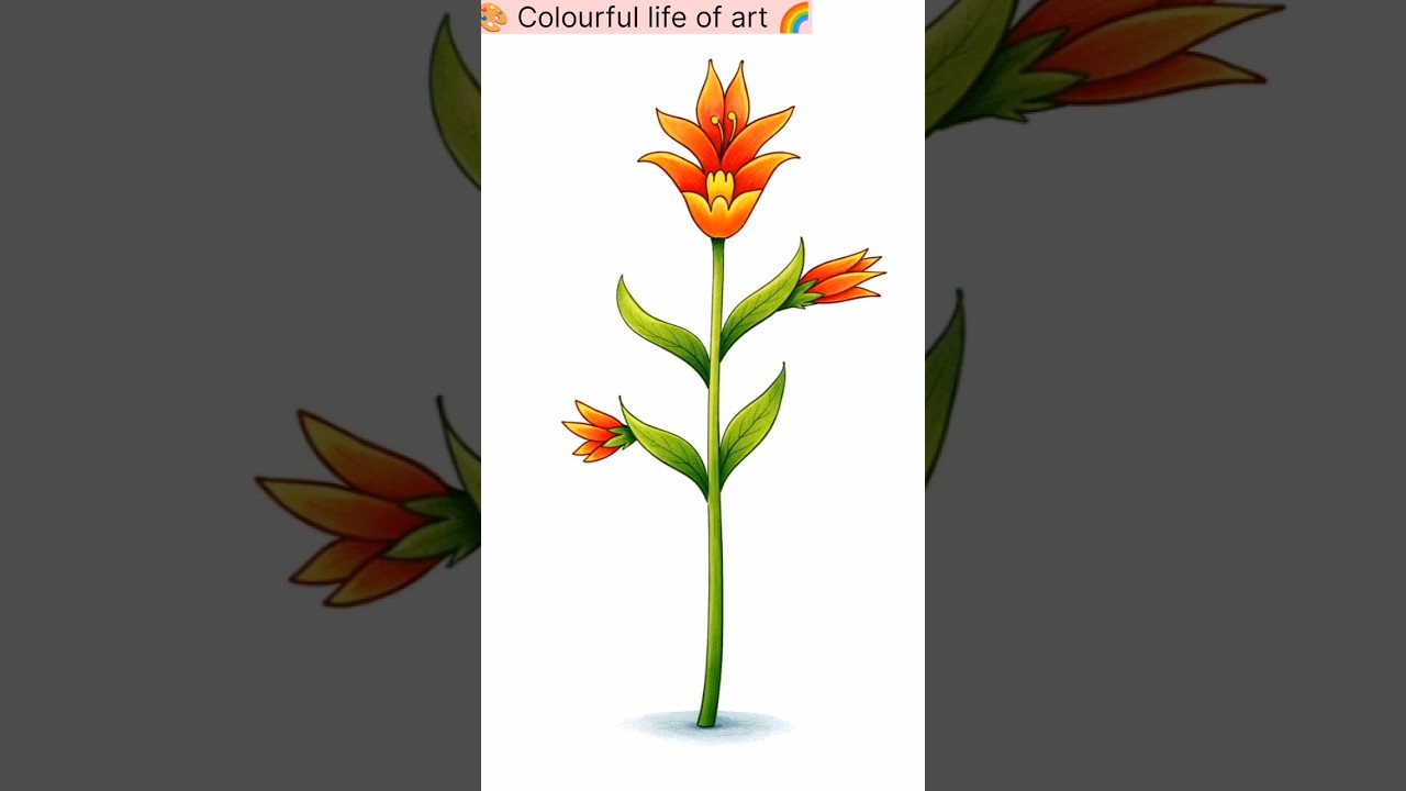 Flower Drawing | Pencil Sketch to Colour 🌸