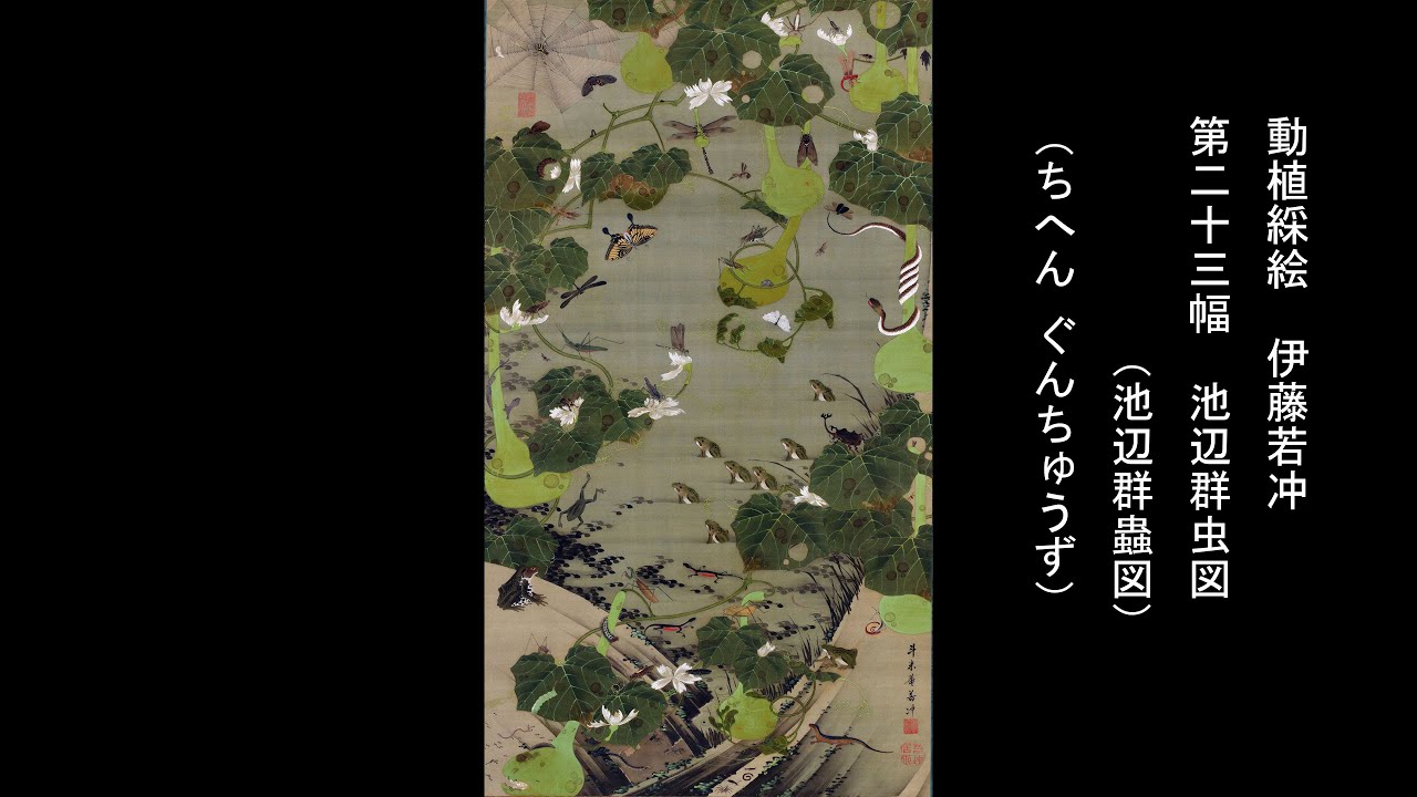 動植綵絵 伊藤若冲 「第二十三幅 池辺群虫図（池辺群蟲図） （ちへん