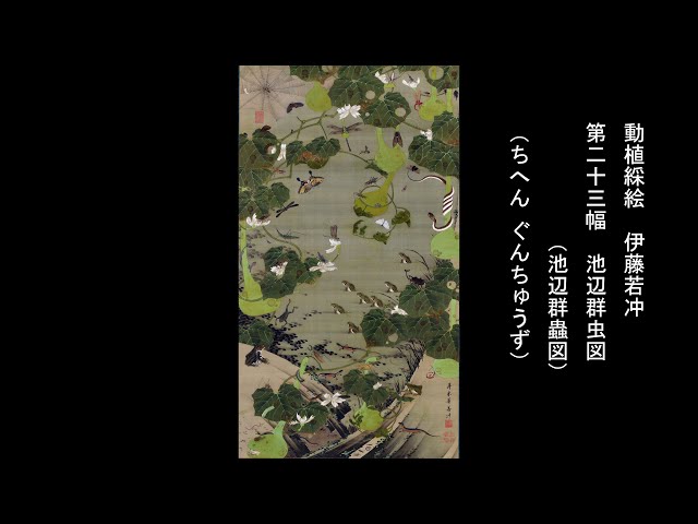 動植綵絵 伊藤若冲 「第二十三幅 池辺群虫図（池辺群蟲図） （ちへん