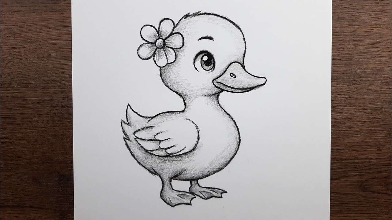 Kolay karakalem sevimli ördek resmi adım adım nasıl çizilir, Öğretici çizim eğitimi