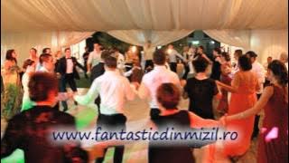 Formatii Nunta Ploiesti Bucuresti - Formatia Fantastic din Mizil