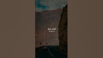 إن الله لا يظلم الناس شيئا ولكن الناس أنفسهم يظلمون - القاريء عبدالرحمن مسعد - سورة يونس #قرآن_كريم
