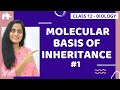 Molecular Basis of Inheritance Class 12| NCERT Chapter 6 | CBSE NEET