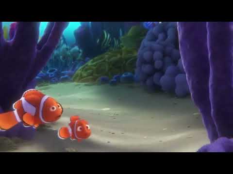 Dory remembers something?!