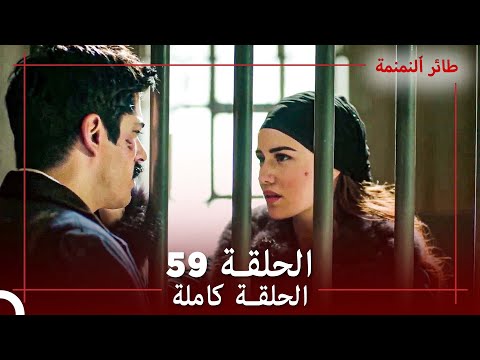 الحلقة 59 طائر النمنمة