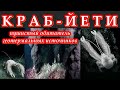 КРАБ-ЙЕТИ - Пушистый обитатель геотермальных источников