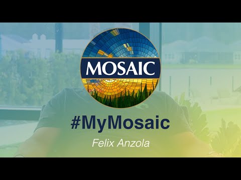 #MyMosaic - Felix Anzola