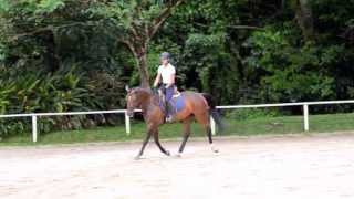 Classic. { Recent Flatwork - 4 in 1 }