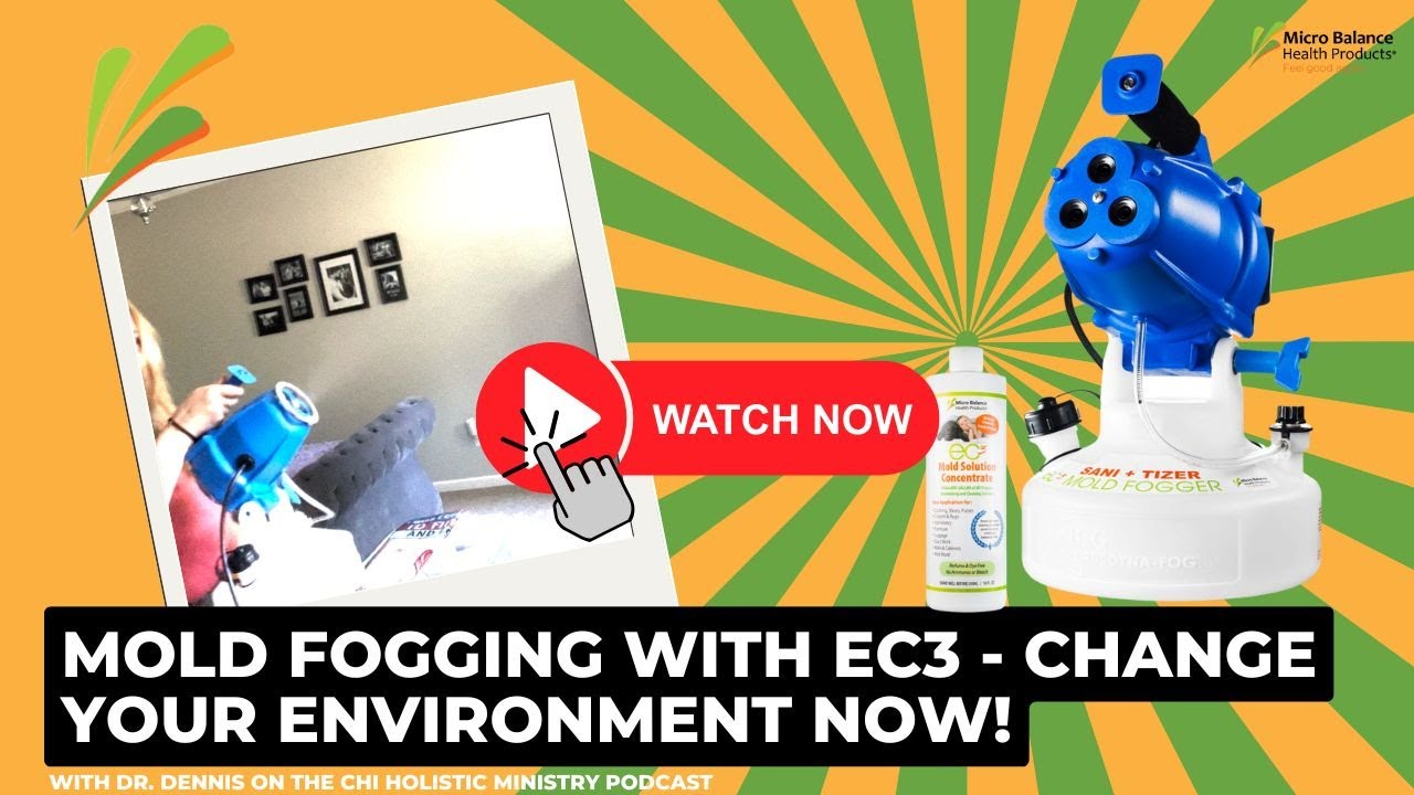 Treat Your Home Properly: Mold Fogging To Change Your Indoor Air - YouTube