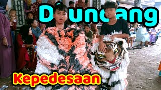 Can macanan Singo Raung cilik Di undang acara Khitan di Pedesaan