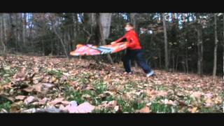 What to do When You're Board (Leaf Sledding)