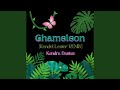 Chameleon Kendel Lester Remix mp3