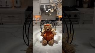 Bartholomew Bear Pumpkin