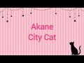 City Cat