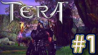 TERA Getting them levels up