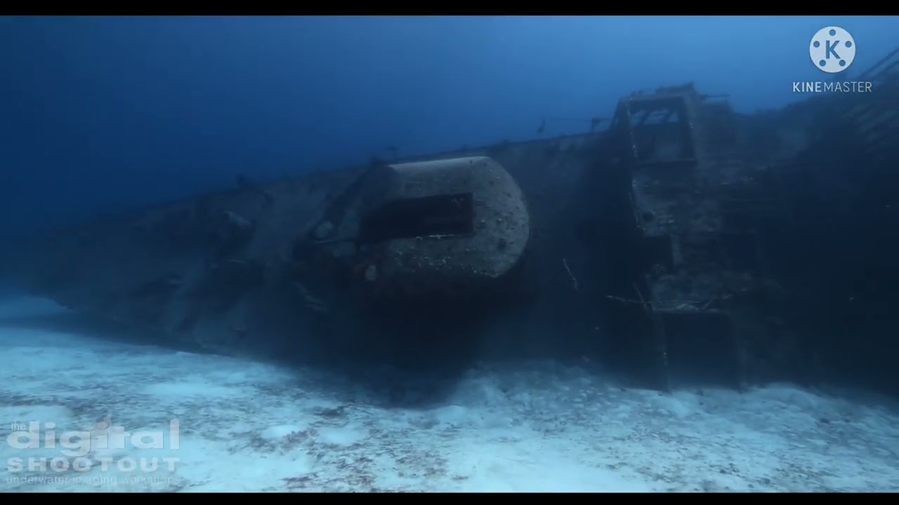 5Billion Sales New Update and Business Plan