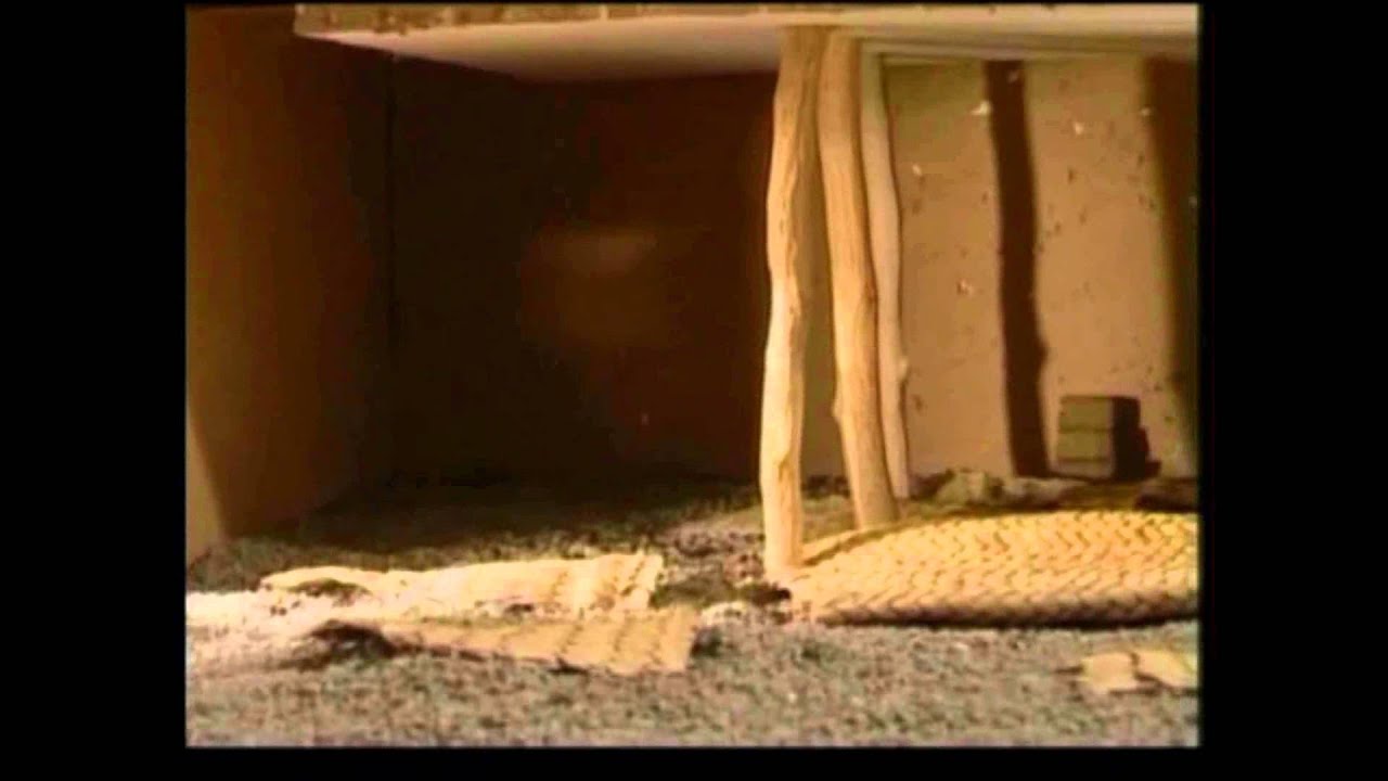 تاريخ المسجد النبوي ومواقع أخرى بالمدينة المنورة (1)