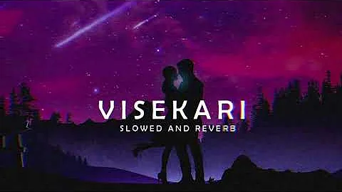 Visekari (slowed and reverb)