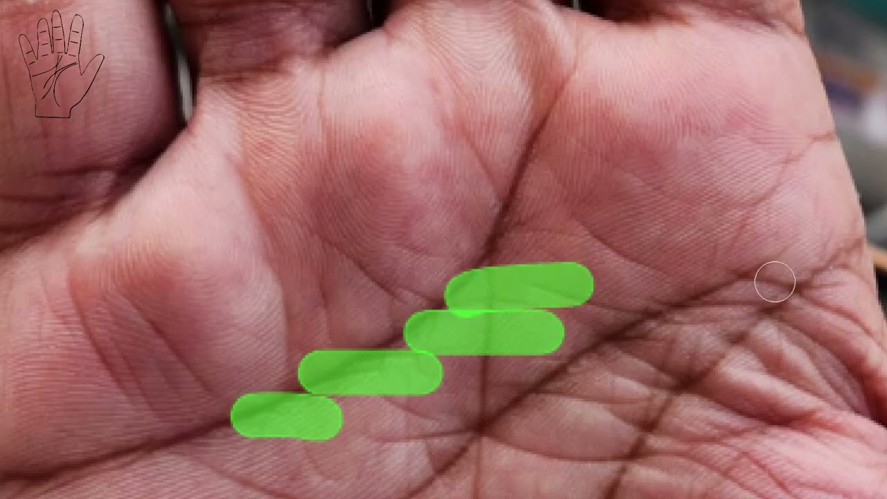 Reading the Palm of a 33-Year-Old: The Mercury Line, Money Line, and Head Line Decoded!