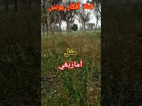 يقول المثل ألأمازيغي أقوال وحكم أمثال عربية قلو ناس زمان أمثال مثل مغربي