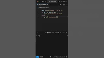 Palindrome Function Python
