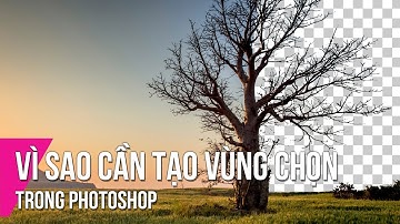 Vì Sao Cần Tạo Vùng Chọn Trong Photoshop + GiveAway | Thùy Uyên