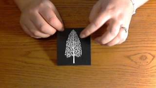 Split Negative Card Image Tutorial