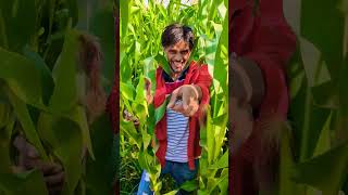 #timelapse start to finish alone build log cabir (wooden house) how to build wooden cabin surviva