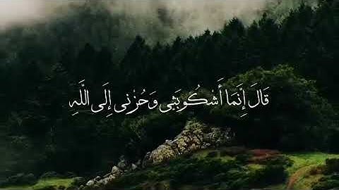 قرآن كريم بصوت القارئ : خالد الجليل || أجمل حالات واتس قرأن || Quran Status ❤