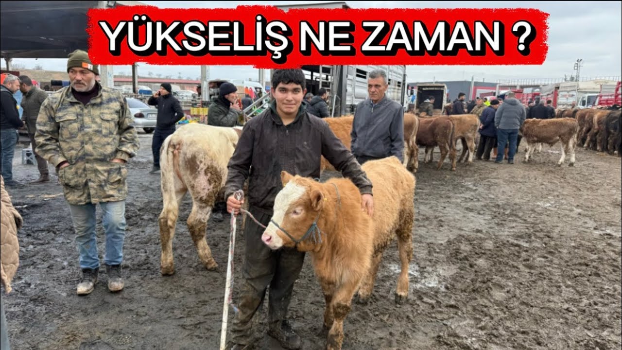 KIRIKKALE HAYVAN PAZARI 17 ŞUBAT 