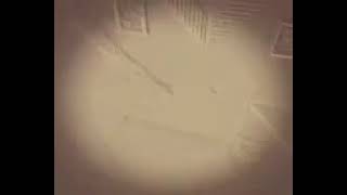 Not Fart A Toilet Logo Render Pack Rounds 5