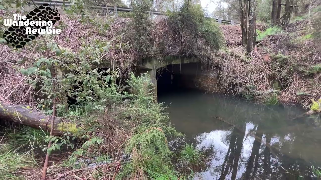 Fryers Creek Campground Big River SF Victoria YouTube