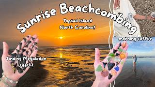 A week of sunrise beach combing in Topsail Island, North Carolina!