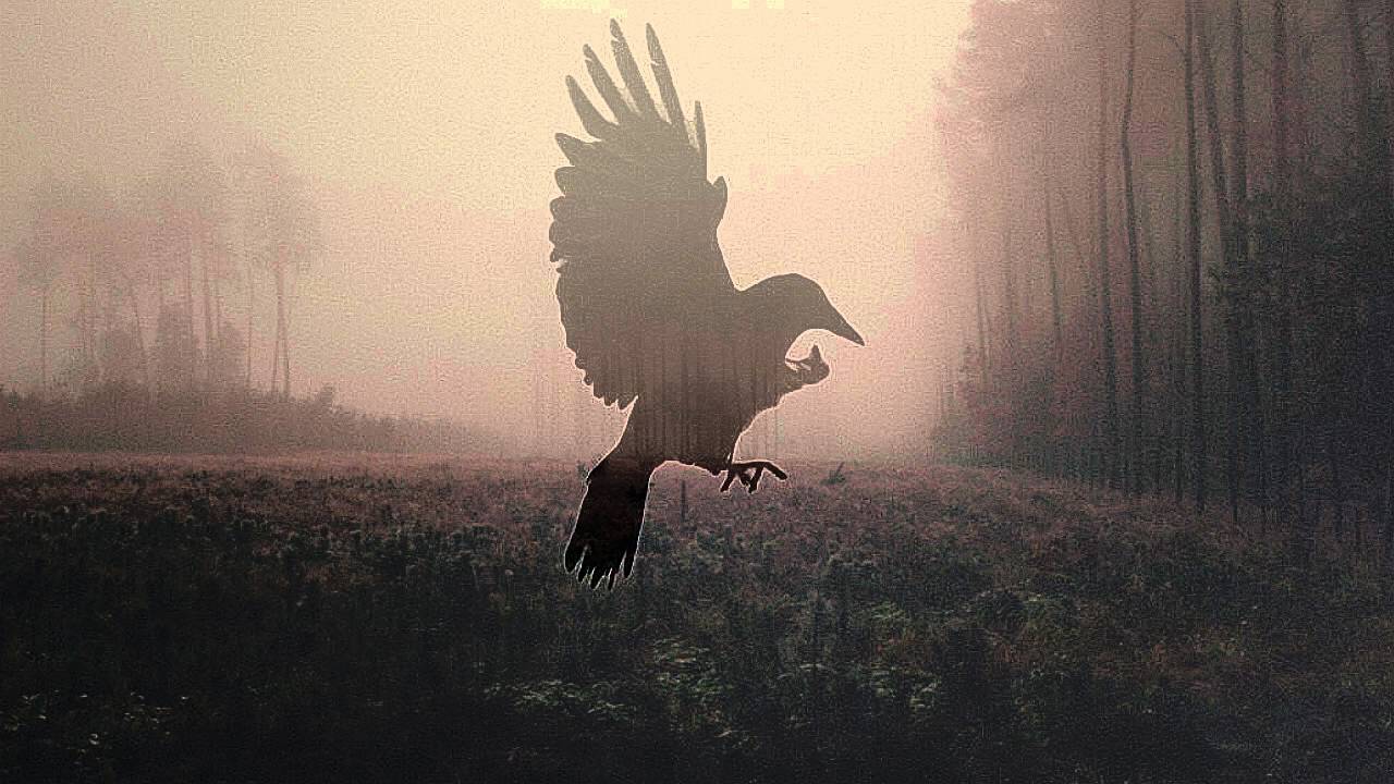 Grst - The Sacred and the Obscene