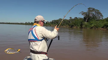Como pescar pirarara no Rio?