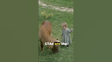 What is a Call To Action or CTA? | Marketing Strategies Explained | Marketing 101 |Digital Marketing