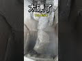 Jaw Crusher #equipment #sand #machine #crusher #stonecrusher #sandmakingmachine #jawcrusher