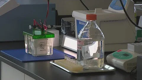 The fentanyl crisis is still a problem in West Texas, but a potential vaccine could help