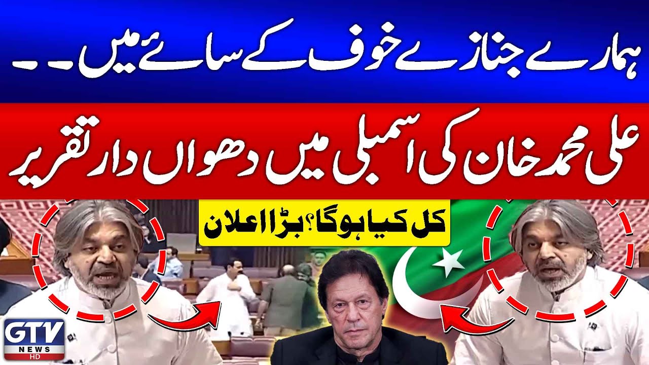 Ali Muhammad Khan Powerful Speech In Assembly | PTI 5 August Protest | Imran Khan Latest News