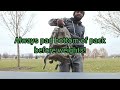 Basic Endurance and Strength Training Exercises