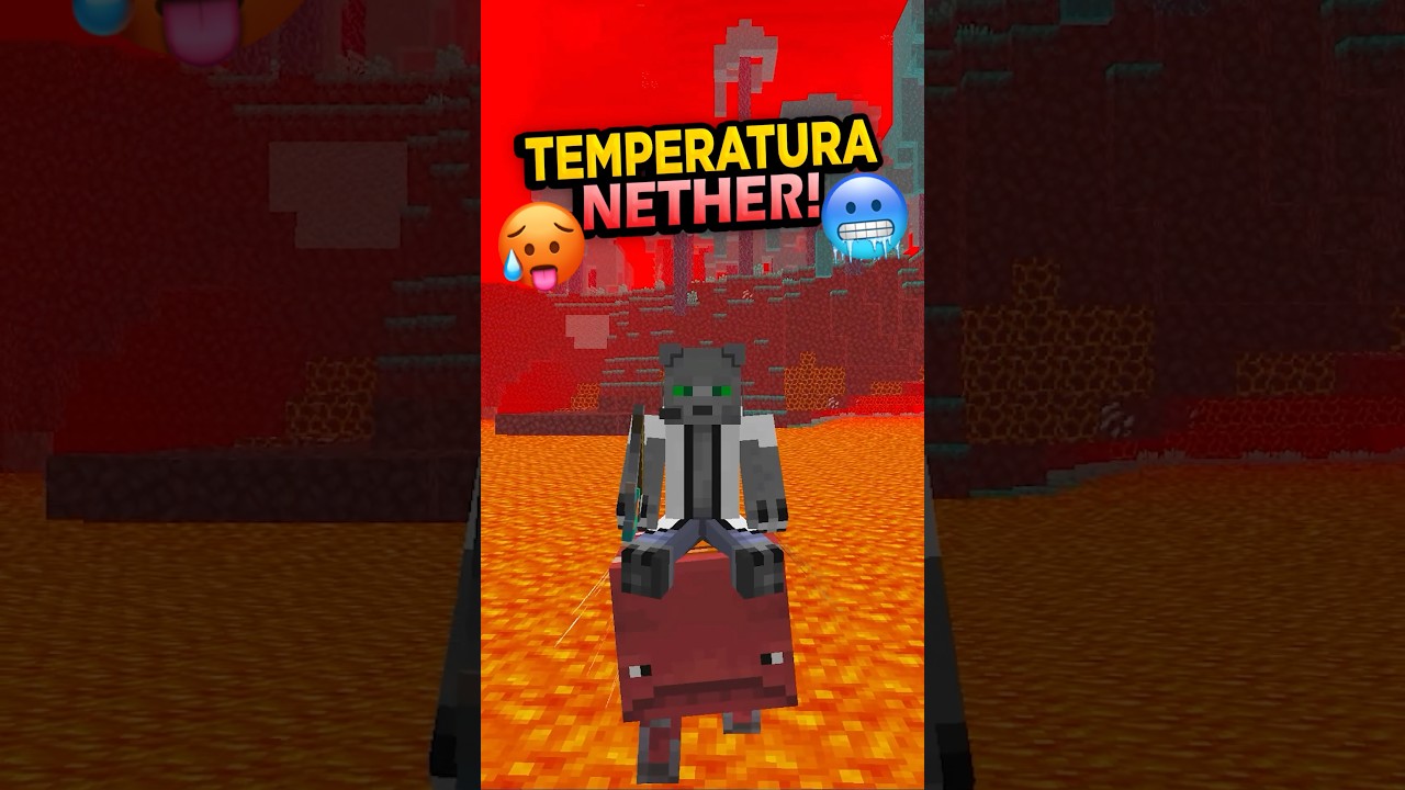 ¿Que CLIMA hace en el NETHER?
