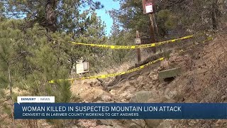 Suspected Mountain Lion Attack The Latest On A Womans Death On Larimer County Trail