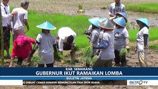 LOMBA TANAM PADI JAJAR LEGOWO