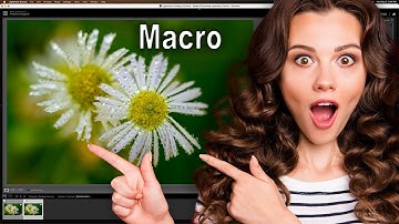 Sharpen AI on Noisy Macros