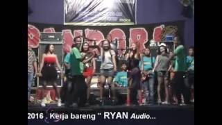 Pandora live musik hula hula moca comunity
