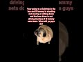 do not check the sound