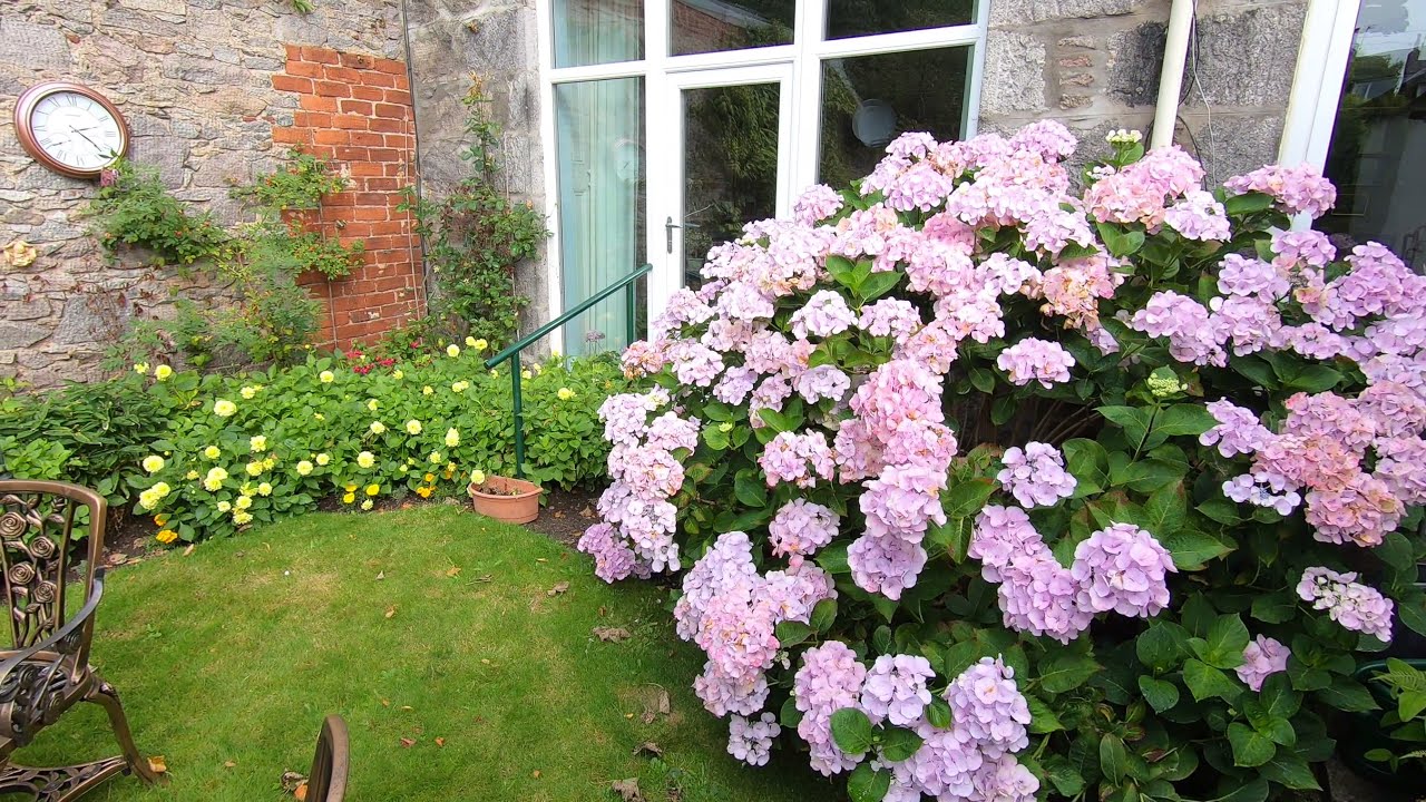 Aberdeen Garden, 14th Sept 2021