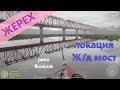 Русская рыбалка 4 - река Волхов - Жерех у Ж\Д моста