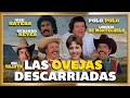 Las ovejas descarriadas gerardo reyes comedia ranchera  pelcula completa